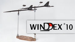 WINDEX 10